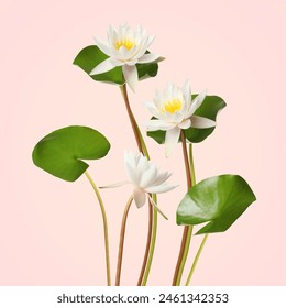 Beautiful lotus flowers with long stems on pink background - Powered by Shutterstock