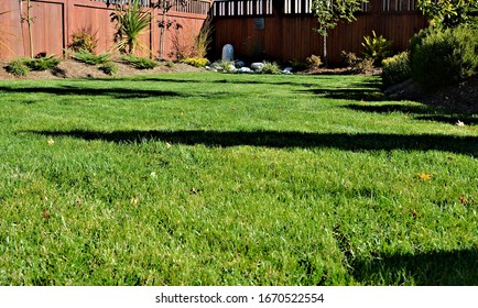 A beautiful low angle view of  green lawn grass surrounded by formal landscaped garden in a sunken garden design