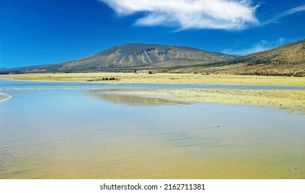 Beautiful low tide coastal landscape, sand beach, lonely sandbanks, water ebb streams, barren dry dunes hills, clear blue sky - Playa de Sotavento, Fuerteventura