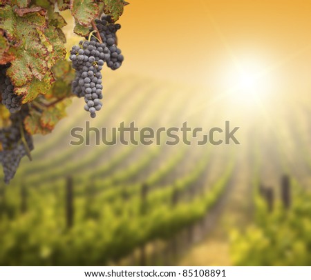 Similar – Image, Stock Photo a blurred, hazy meadow of flowers.