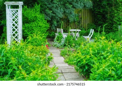 A beautiful lush green garden with a table and chairs in a backyard on a summers day. Vibrant park with scenic views of nature in a peaceful, tranquil spot. Venue for a zen picnic or lunch date