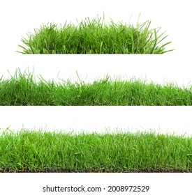 Beautiful lush green grass on white background, collage - Shutterstock ID 2008972529