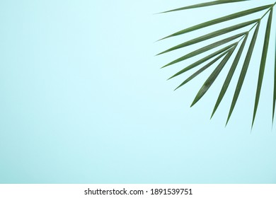 春夏背景high Res Stock Images Shutterstock