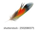 Beautiful macaw parrot feather bird isolated on white background 