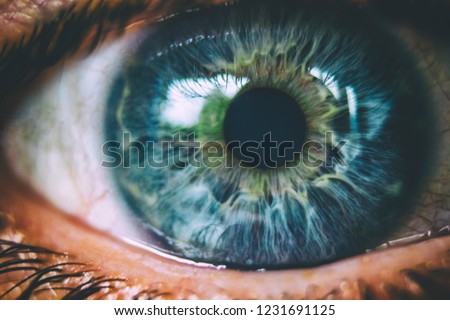 Beautiful macro photo of human eye, iris, pupil, eye lashes, eye lids.