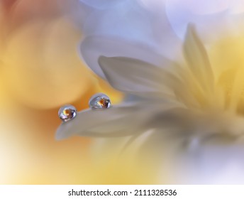 Beautiful Macro Photo.Dream Flowers.Border Art Design.Magic Light.Close Up Photography.Conceptual Abstract Image.Yellow And Orange Background.Fantasy Floral Art.Creative Wallpaper.Beautiful Nature.