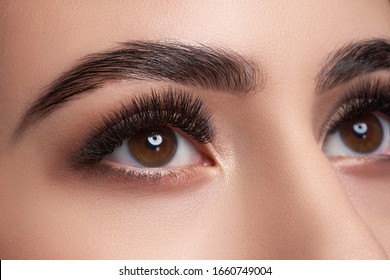 Beautiful macro photography of a woman's eye with extreme makeup of long lashes. Perfect long lashes, imitation. Rejection of cosmetics. Close-up fashion eye makeup, eyebrow lamination is beautiful