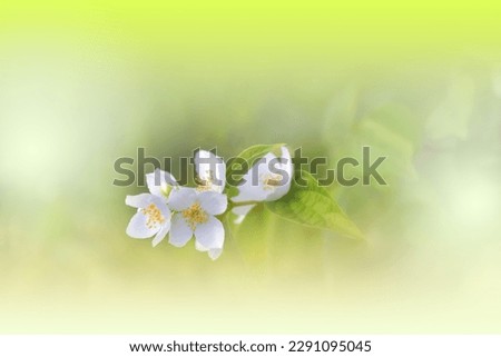 Similar – Image, Stock Photo Zero eight fifteen | typical spring picture