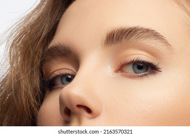 Beautiful macro shot of female eye with classic smoky makeup. Perfect shape of eyebrows, brown eyeshadows and long eyelashes.Closeup macro shot of fashion smoky eyes visage. Before and after