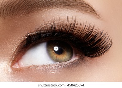 Beautiful macro shot of female eye with extreme long eyelashes and black liner makeup. Perfect shape make-up and long lashes. Cosmetics and make-up. Closeup macro shot of fashion eyes visage
