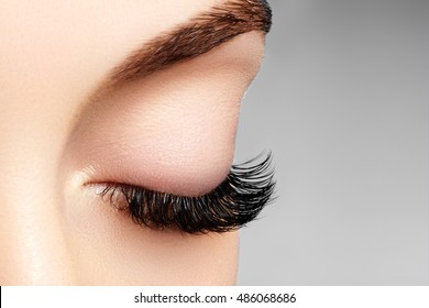 Beautiful Macro Shot Of Female Eye With Extreme Long Eyelashes And Black Liner Makeup. Perfect Shape Make-up And Long Lashes. Cosmetics And Make-up. Closeup Macro Shot Of Fashion Eyes Visage

