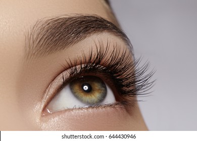 Beautiful Macro Shot Of Female Eye With Extreme Long Eyelashes And Black Liner Makeup. Perfect Shape Make-up And Long Lashes. Cosmetics And Make-up. Closeup Macro Shot Of Fashion Eyes Visage