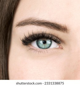 Beautiful macro shot of female green eye with long false lashes. Young woman with make-up and long eyelash extensions. Closeup beauty photo of fashion 2d 3d Kim K effect volume lash extension set