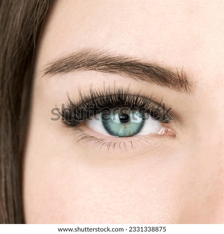 Beautiful macro shot of female green eye with long false lashes. Young woman with make-up and long eyelash extensions. Closeup beauty photo of fashion 2d 3d Kim K effect volume lash extension set