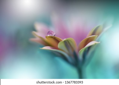 Beautiful Macro Shot Of Magic Flowers. Border Art Design.Extreme Close Up Photography.Conceptual Abstract Image.Green Nature Background.Artistic Floral Art.Creative Wallpaper.Amazing Spring Flower.