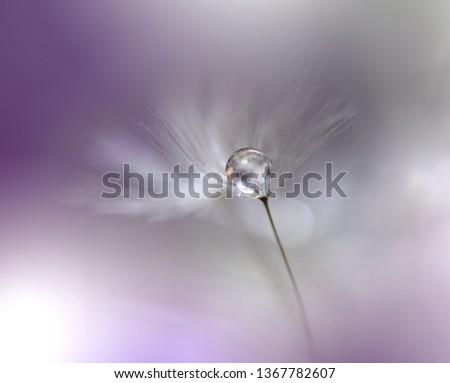 Similar – Kohlweißschmetterling auf Blutfelberich