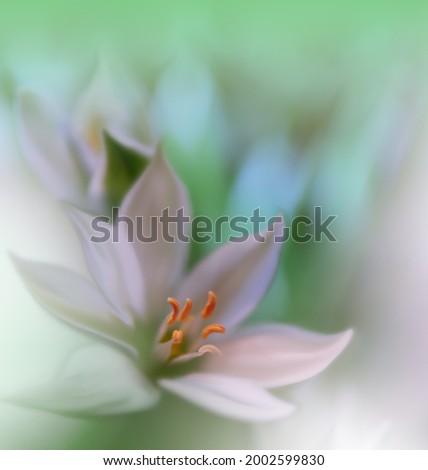 Similar – Image, Stock Photo a glimpse of spring