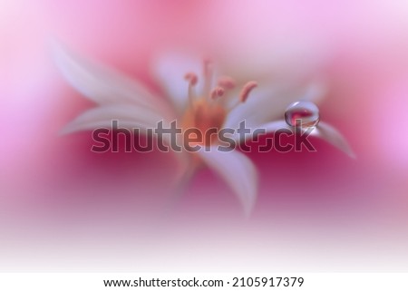 Similar – Pink Beauty Farbfoto