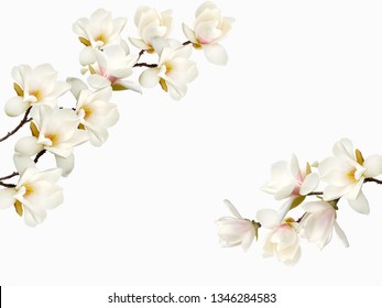 Magnolia Beautiful Gentle Spring Flower Wedding Stock Vector (Royalty ...