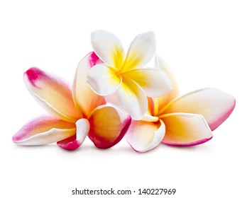 花 おしゃれ の写真素材 画像 写真 Shutterstock
