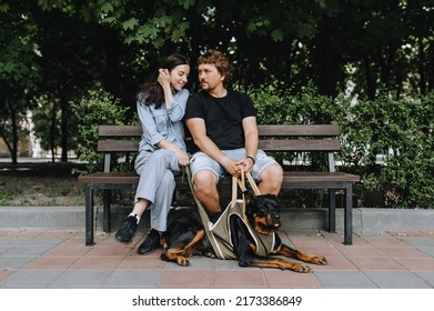 Beautiful Man And Woman Are Sitting On A Park Bench With Their Favorite Military Dog Rottweiler In A Corset, Leash. Photo Of Family And Animal.