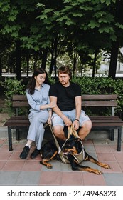 Beautiful Man And Woman Are Sitting On A Park Bench With Their Favorite Military Dog Rottweiler In A Corset, Leash. Photo Of Family And Animal.