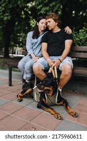 Beautiful Man And Woman Are Sitting On A Park Bench With Their Favorite Military Dog Rottweiler In A Corset, Leash. Photo Of Family And Animal.