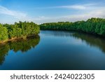 Beautiful mangrove swamp trees along a tranquil river with a clear cloudy sky