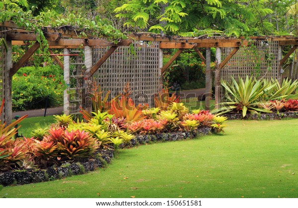 Hermoso jardín tropical cuidado con plantas floridas y césped verde.