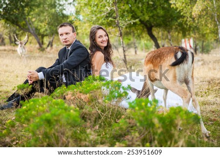 Beautiful married couple in a park with deer