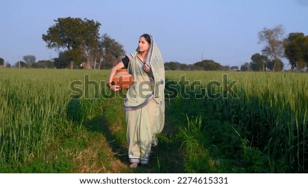 A beautiful married housewife walking through a field with a pitcher - Village scene. An Indian lady from a village in traditional Saree carrying a pot of drinking water from a tubewell for household