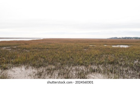 Beautiful Marsh Land In Tybee Island