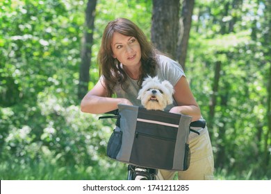 Beautiful mature woman riding a bike with her pet maltese dog in a basket