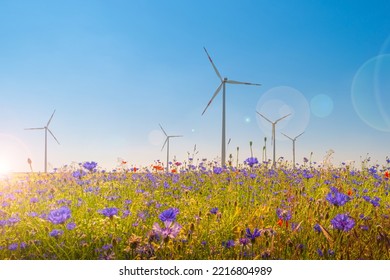 Beautiful Meadow Field Farm Landscape With Blue And Red Flowers, Wind Turbines To Produce Green Energy At Sunset Colors With Direct Sun Light With Lens Flare And Sun Rays In Germany