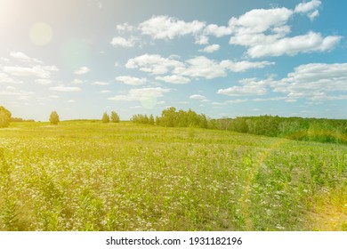 Prairie Verte High Res Stock Images Shutterstock