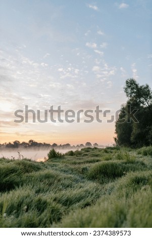 Beautiful meadow of green grass covered with dew, early foggy morning. Dawn on the river bank. Summer background