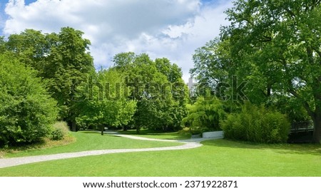 Beautiful meadow in summer park