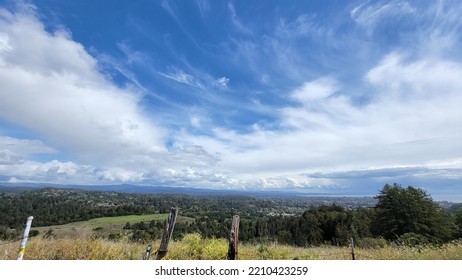 Beautiful Meadow Vista In Central California