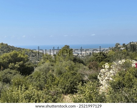 Similar – Panorama von Barcelona mit Büschen im Vordergrund und Sagrada Familia