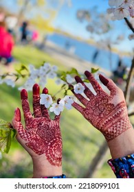 Beautiful Mehndi Art Filled With Cherry Blossoms