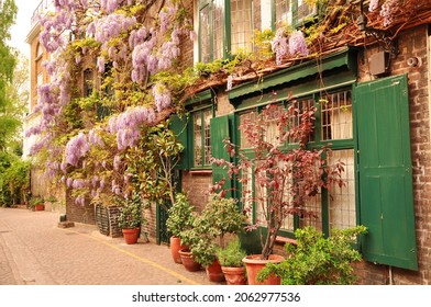 Beautiful Mews In London With Wisteria