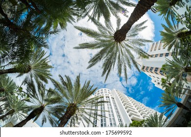 Beautiful Miami Beach Fish Eye Cityscape With Palm Trees And Art Deco Architecture.