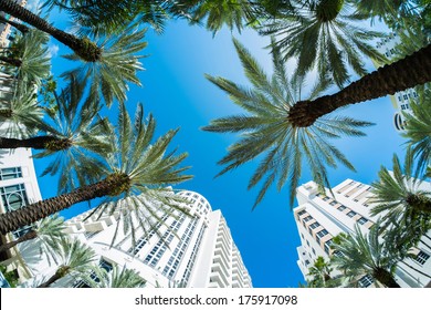 Beautiful Miami Beach Fish Eye Cityscape With Palm Trees And Art Deco Architecture.