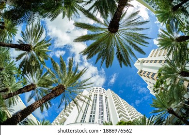 Beautiful Miami Beach Fish Eye Cityscape With Art Deco Architecture And Palm Trees.