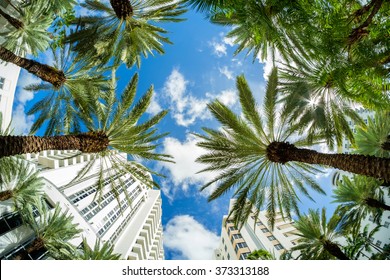 Beautiful Miami Beach fish eye cityscape with art deco architecture and palm trees. - Shutterstock ID 373313188