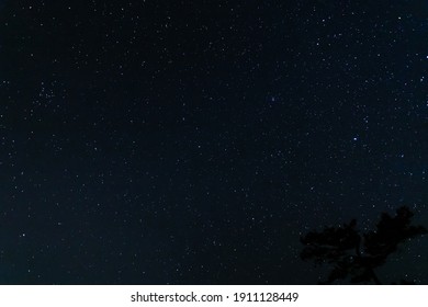 Beautiful milky way night sky with silhouetted trees. 