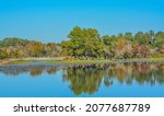 Beautiful mirror image of shoreline on Reed Bingham Lake in Adel, Colquitt County, Georgia