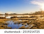 Beautiful misty autumn morning at a lake by a bog