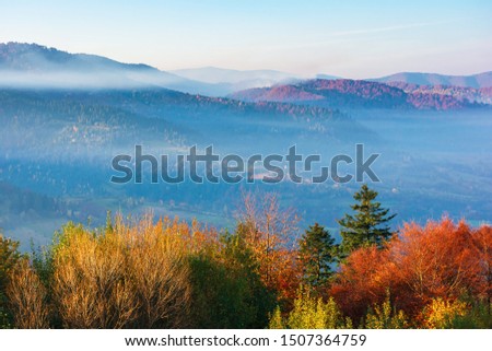 Similar – Vernebelte Herbstfärbung