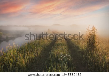 A beautiful misty morning with fog over river and road to the field. Spring landscape with mist and trees in the river valley. Morning sunrise fog over rural river.